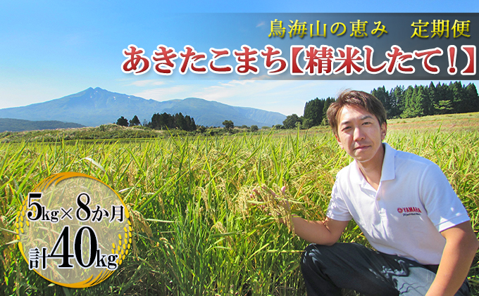 令和5年 新潟上越産「標高480mの山間地で育てた棚田米コシヒカリ」玄米8kg