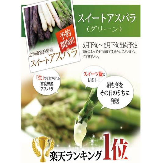 アスパラガス 北海道 富良野産 グリーン 2Lサイズ 500ｇ 送料無料