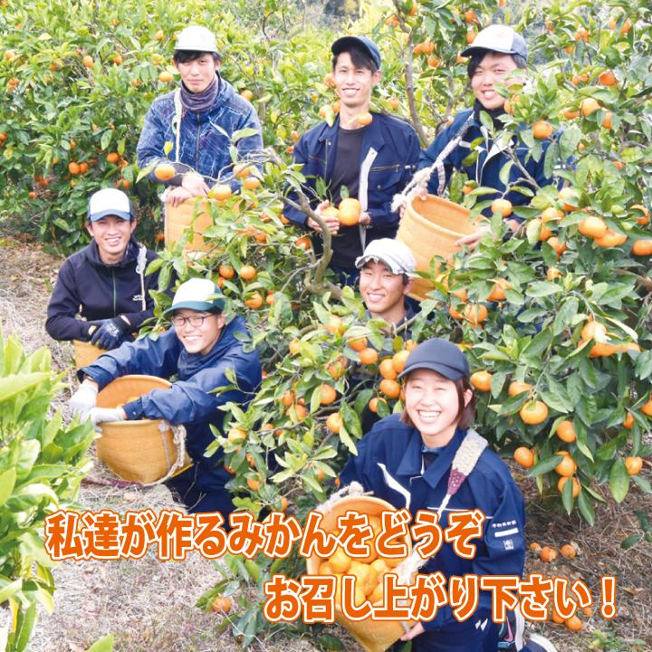 みかん お歳暮 有田みかん 和歌山 温州 家庭用 産地直送 早和みかん 送料無料 新林みかんL M Sサイズ混合 5kg 早和果樹園