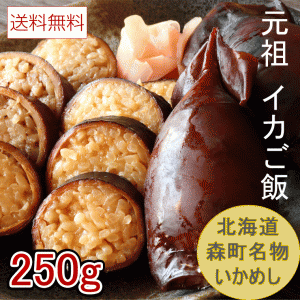 いかめし 北海道森町名物 マルモの いかごはん 250g お徳用 いか飯 イカめし 北海道 お土産 函館 送料無料 メール便 送料無料