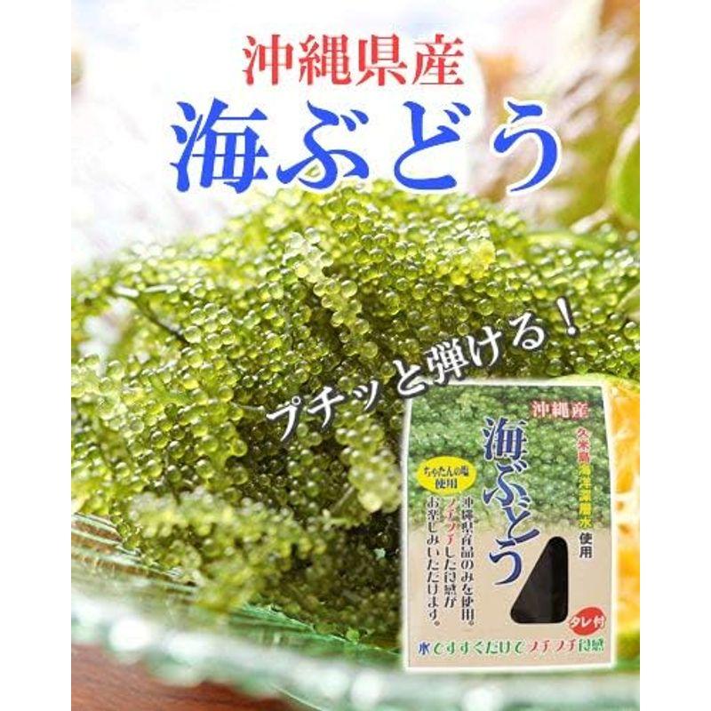 沖縄県産 海ぶどう タレ付 20g×4P 大幸商事