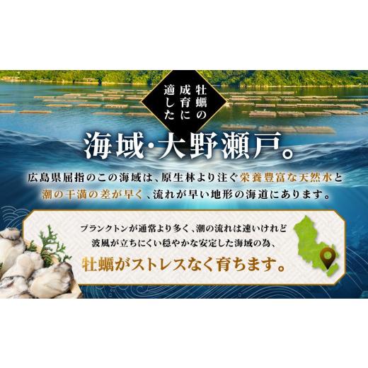 ふるさと納税 広島県 廿日市市 独自ブランド「讃美牡蠣」のこだわり冷凍大粒牡蠣！　１キロ×２袋