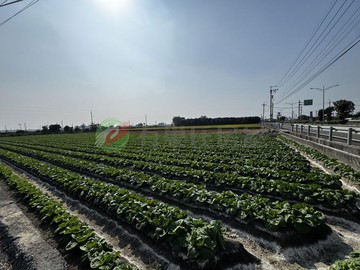 獨家彰化埤頭雙面臨路優質農地｜彰化縣埤頭鄉東和段