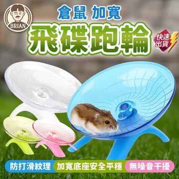 倉鼠飛碟跑輪【布萊恩👨🏻隔日到貨】倉鼠跑輪 倉鼠玩具 靜音跑輪 倉鼠安全跑碟 倉鼠飛輪 倉鼠飛碟 小寵用品