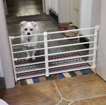 寵物護欄 門口圍欄 分隔柵欄 寵物狗狗圍欄 柵欄 室內小型犬泰迪柯基隔離防護擋板免打孔欄 桿家用 全館免運