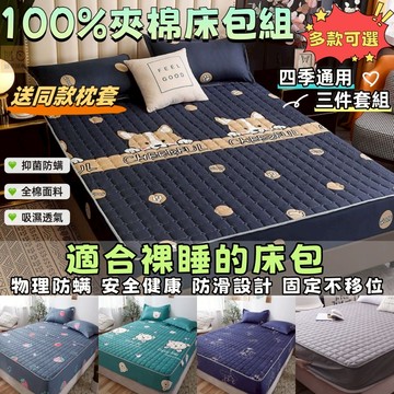 🔥買一送一🔥鋪棉床包組 100%夾棉床笠 全包床罩 單人床包 雙人床包 四季床包 純棉床包 雙人加大床包 純棉床包三件組