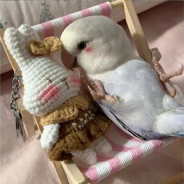 鸚鵡躺椅小太陽鸚鵡玩具小鳥用虎皮牡丹解悶自嗨解壓玩具逗鳥神器WGNHGT01