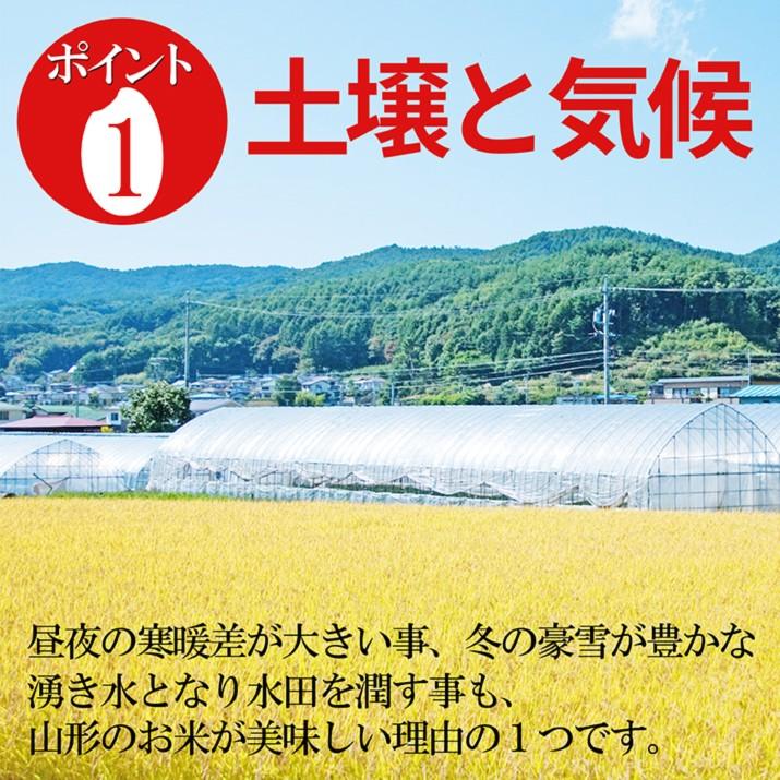 お届け中! 令和5年産 新米 山形県産 あきたこまち 白米 10kg(5kg×2袋) 送料無料 ギフト 一等米 精米 産地直送 おいしい 代表米 ブランド米