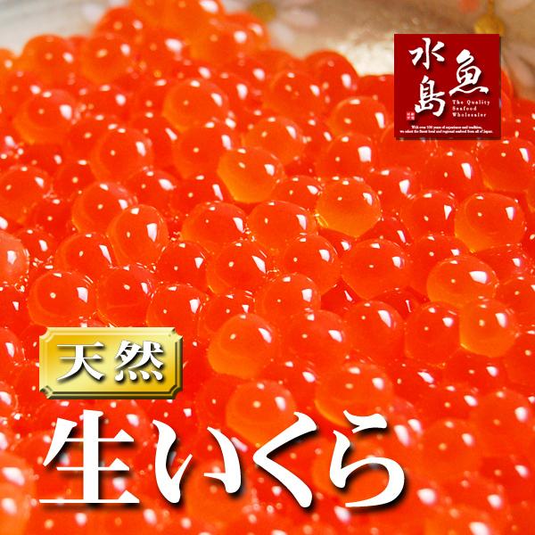 北海道〜青森県産 生いくら 季節限定「とろりやわらか 生イクラ」 500g