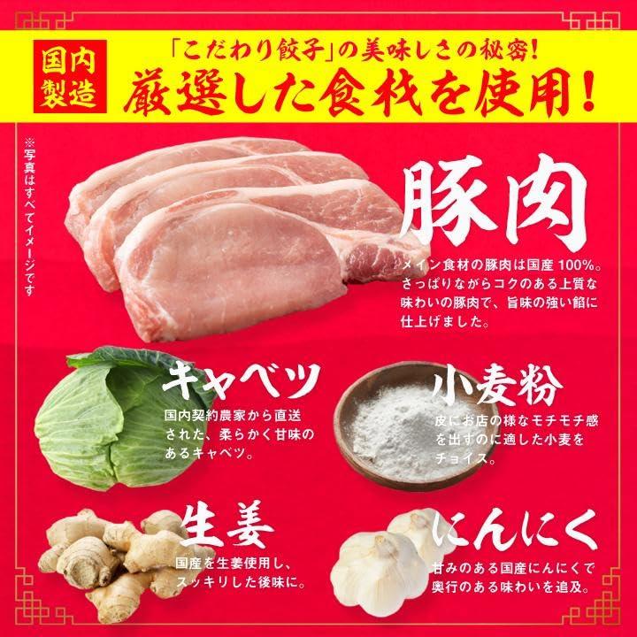 大阪王将ギフトセット極全11商品入り 中華 餃子 チャーハン 中華丼 焼売 エビチリ 中華ちまき