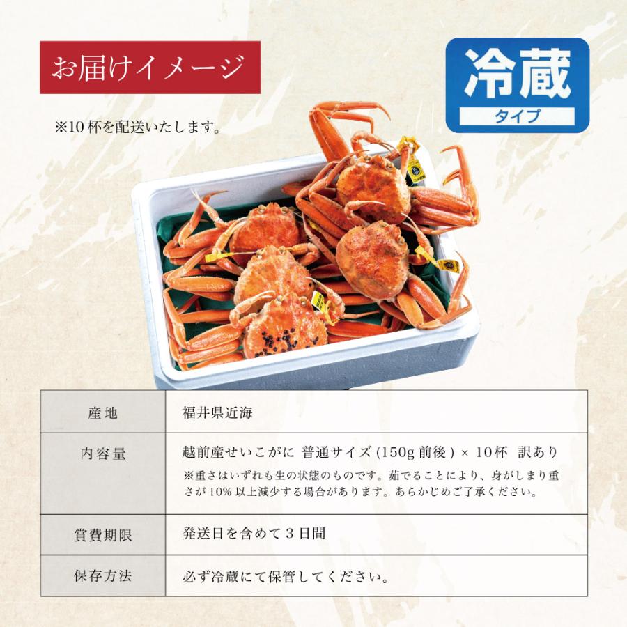 かに カニ 蟹 訳あり せいこ蟹 セイコガニ セコガニ 越前蟹 姿 送料無料 福井 取り寄せ お歳暮 ギフト プレゼント お祝い 普通サイズ 150g前後 10杯