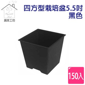 四方型栽培盆5.5吋-黑色(厚)150個/件