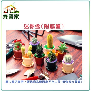 【綠藝家】迷你盆附底盤(磚紅色)