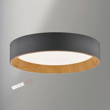 北歐風45W遙控吸頂燈 F85-09-K3486