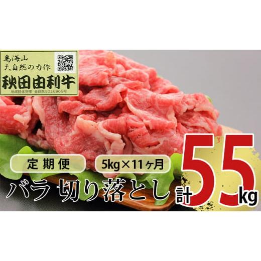 ふるさと納税 秋田県 にかほ市 《定期便》11ヶ月連続 秋田由利牛 バラ切り落とし 5kg（1kg×5パック）