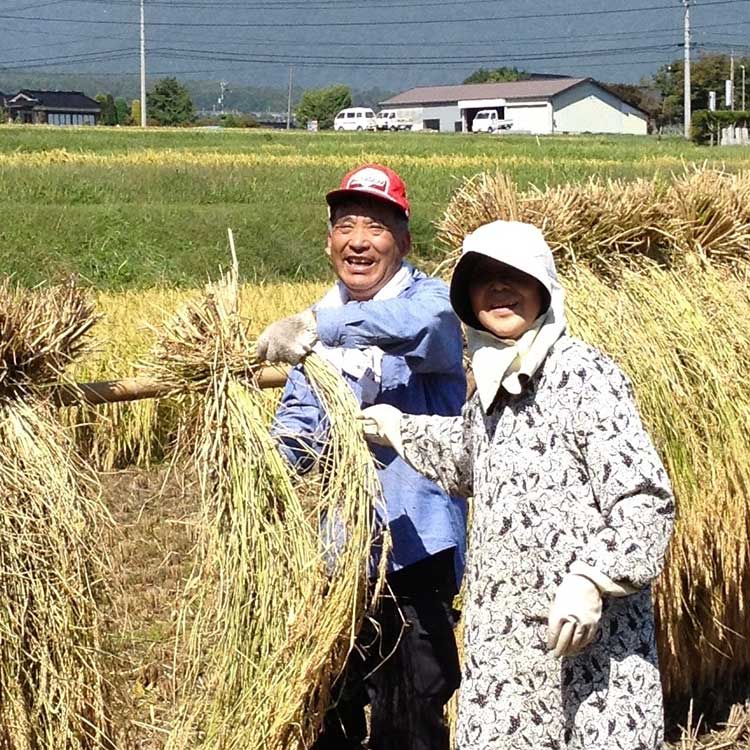 ［上伊那農民組合］白毛餅800g1袋コシヒカリ3kg箱セット ［上伊那農民組合］白毛餅８００ｇ１袋コシヒカリ３ｋｇ箱セット