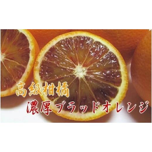 ふるさと納税 和歌山県 湯浅町 AB6201n_濃厚 ブラッドオレンジ タロッコ 5kg