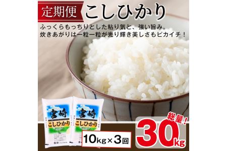 ＜令和5年産・新米＞宮崎県門川町産コシヒカリ(5kg×2袋×3回)