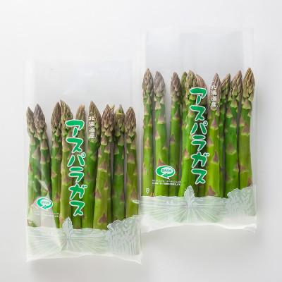 ふるさと納税 旭川市 令和6年5月中旬より発送　朝採りアスパラ3.0kg(500g×6)　Lサイズ　旭川近郊産