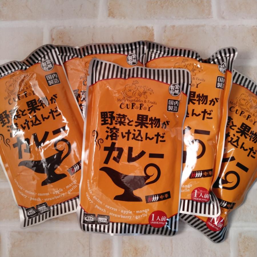 野菜と果物が溶け込んだカレー 中辛 200g×5袋 メール便送料無料 ポイント消化 1000