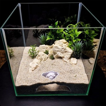 出清不補  掃貨趁現在 飾品 躲藏屋 魚缸造景 水族造景 微景觀 魚缸擺件 魚缸洞穴美杜莎蛇髮女妖主題造景小魚蝦躲避屋繁