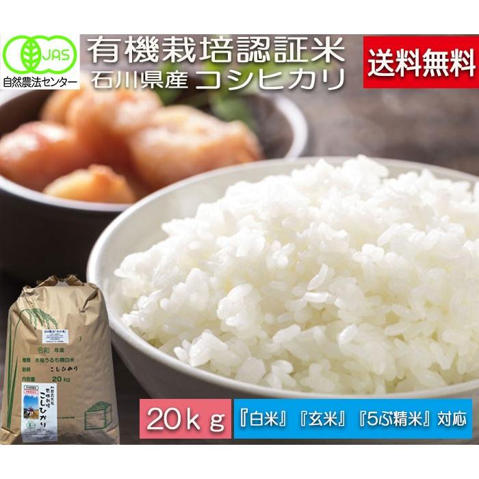 令和5年度産 新米コシヒカリ 無農薬白米20kg-