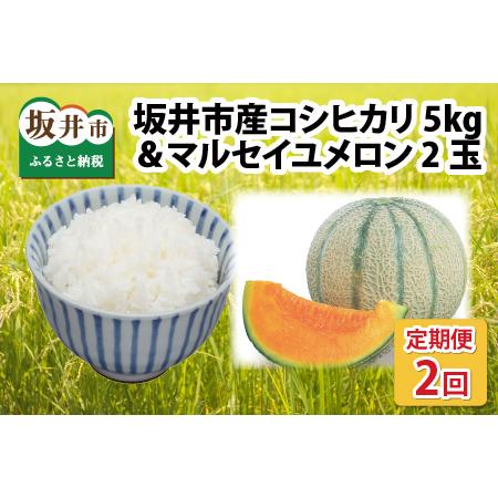 ふるさと納税  マルセイユメロン 2玉 ＋ 坂井市産新米コシヒカリ 5kg 【2024年6月上旬より順.. 福井県坂井市