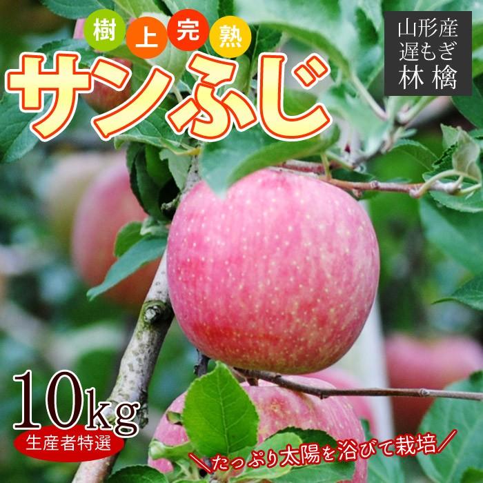 サンふじ 約10kg 24-40玉前後　送料無料、りんご、林檎、ふじ、フジ、山形県、樹上完熟のりんごを産地より直送 遅もぎ