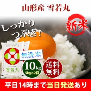 新米 米 無洗米 10kg 山形県産 雪若丸 ゆきわかまる 5kg×2袋 令和5年産 お米 10kg 送料無料 北海道・沖縄配送不可 即日発送 クーポン対