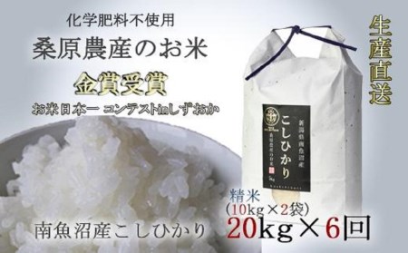 桑原農産のお米20kg(10kg×2)×6カ月　南魚沼産こしひかり