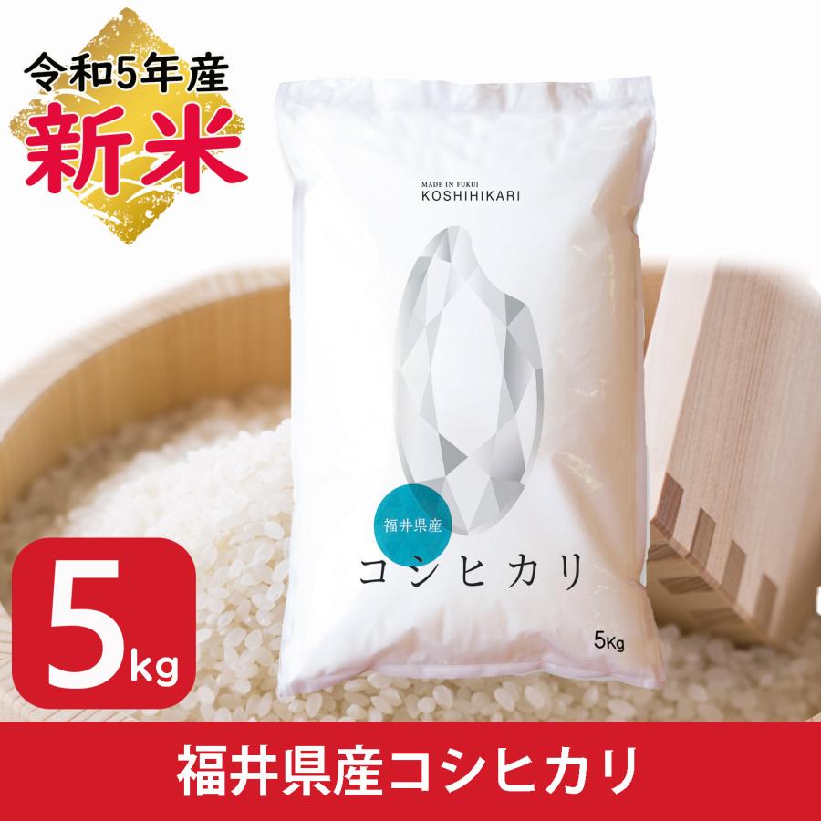 新米 米 コシヒカリ 5kg 福井県産 白米 令和5年産 送料無料