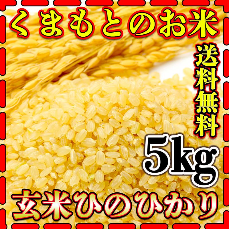 お米 米 5kg 玄米 送料無料 熊本県産 ひのひかり 新米 令和5年産 ヒノヒカリ あすつく 5kg1個 くまもとのお米 富田商店 とみた商店