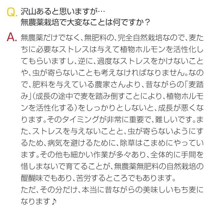 もち麦 もちむぎ 300g 無農薬 無肥料 自然栽培 ダイシモチ 宮崎県産 食物繊維