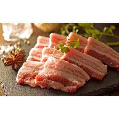 ふるさと納税 力豚バラ　焼き肉用 3kg 高知県大月町