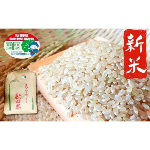 ふるさと納税 秋田県 能代市 秋田県認証 特別栽培米 あきたこまち 令和5年産 30kg
