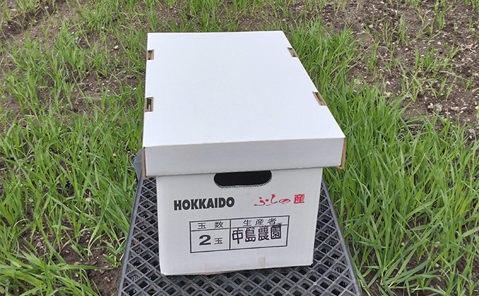 北海道 富良野市 ふらの赤肉 メロン 2kg×2玉 (中島農園)