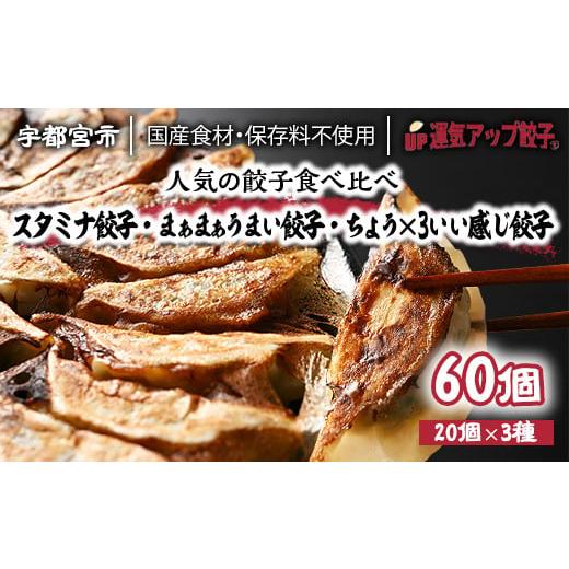 ふるさと納税 栃木県 宇都宮市 宇都宮餃子　豚餃子3種類(合計60個)　保存料不使用