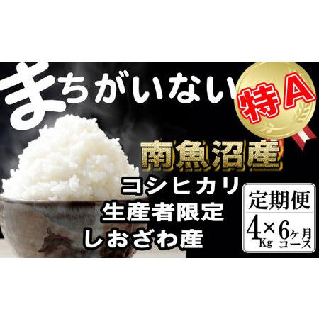 ふるさと納税 生産者限定 契約栽培　南魚沼しおざわ産コシヒカリ（4Kg×6ヶ月） 新潟県南魚沼市