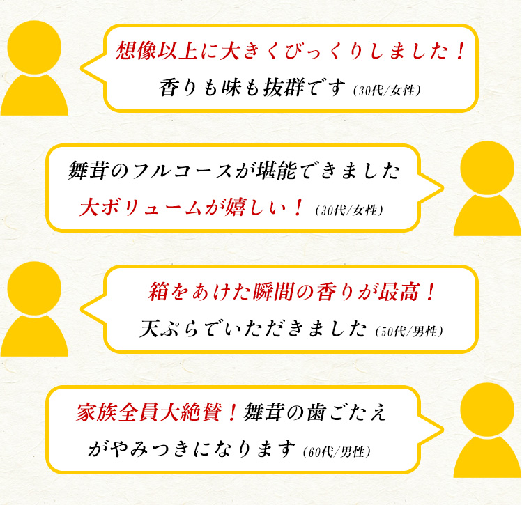 福井県産 九頭竜まいたけ１株(500ｇ前後)　舞茸 マイタケ 送料無料 国産 産地直送 きのこ 野菜