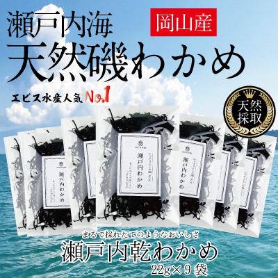 ふるさと納税 瀬戸内市 風味豊かな 瀬戸内 わかめ 22g×9袋 エビス水産 [No.5735-1278]