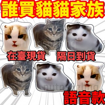 隔日達🔥 德語小貓語音掛件柏林之聲貓希特喵喵髮聲玩偶鑰匙扣 鑰匙圈 鑰匙扣 狸花貓掛件 痞老板掛件