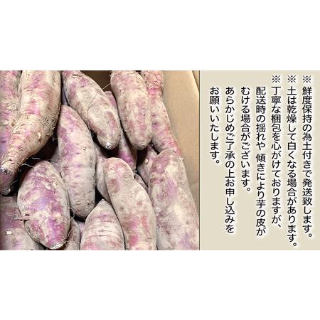 ふるさと納税 訳あり 茨城 八千代町産 さつまいも シルクスイート 土付き 無選別 生芋 約 10kg 農家直送 熟成 イモ 芋 いも おやつ デザート .. 茨城県八千代町