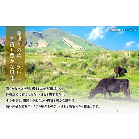 ふるさと納税 くまもと黒毛和牛「和王」 切り落とし 400g 熊本県八代市