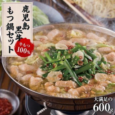 ふるさと納税 大崎町 絶品　もつ鍋セット600g (300g×2パック)