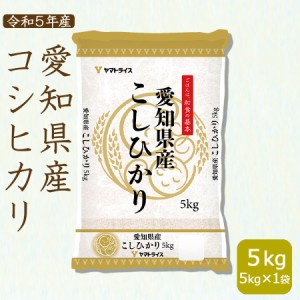 コシヒカリ お米 米 5kg (5kg×1袋) 白米 令和5年産 愛知県産 ※北海道・沖縄は送料900円