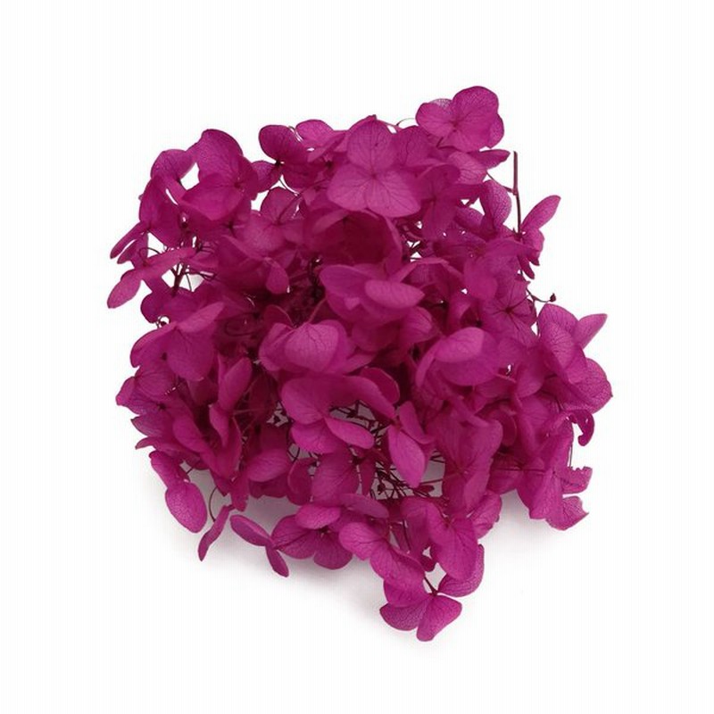 そらプリ アジサイ 花材 アナベル マゼンタ 小分け プリザーブドフラワー 赤紫 紫陽花 通販 Lineポイント最大0 5 Get Lineショッピング