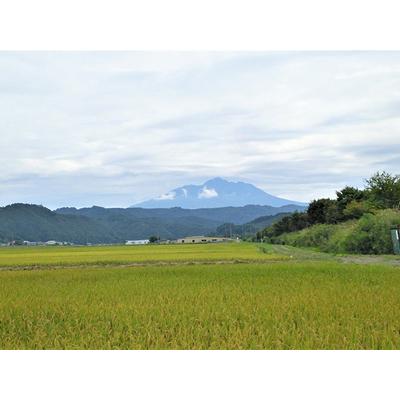 ふるさと納税 青森県鰺ヶ沢町産令和5年産 つがるロマン 白米 15kg（15kg×1袋） 青森県鰺ヶ沢町