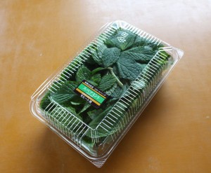 スペアミント モヒート用 40ｇ～50ｇフレッシュハーブ　食用　和歌山県産 葉が大きく匂いが濃くて