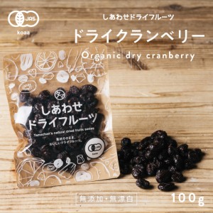 ドライクランベリー 100g×2個セット 有機JAS オーガニック カナダ・アメリカ産 ドライフルーツ くらんべりー ベリー 砂糖不使用 クラン