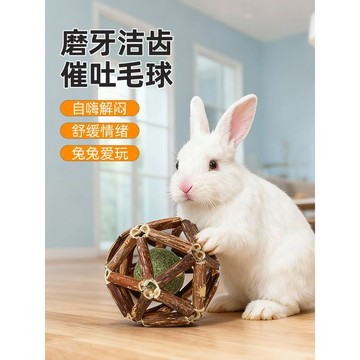 【48時熱賣】兔子玩具零食磨牙棒解悶草球侏儒兔豚鼠專用零食龍貓薄荷寵物用品